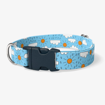 image of front of collar. image of front of collar.